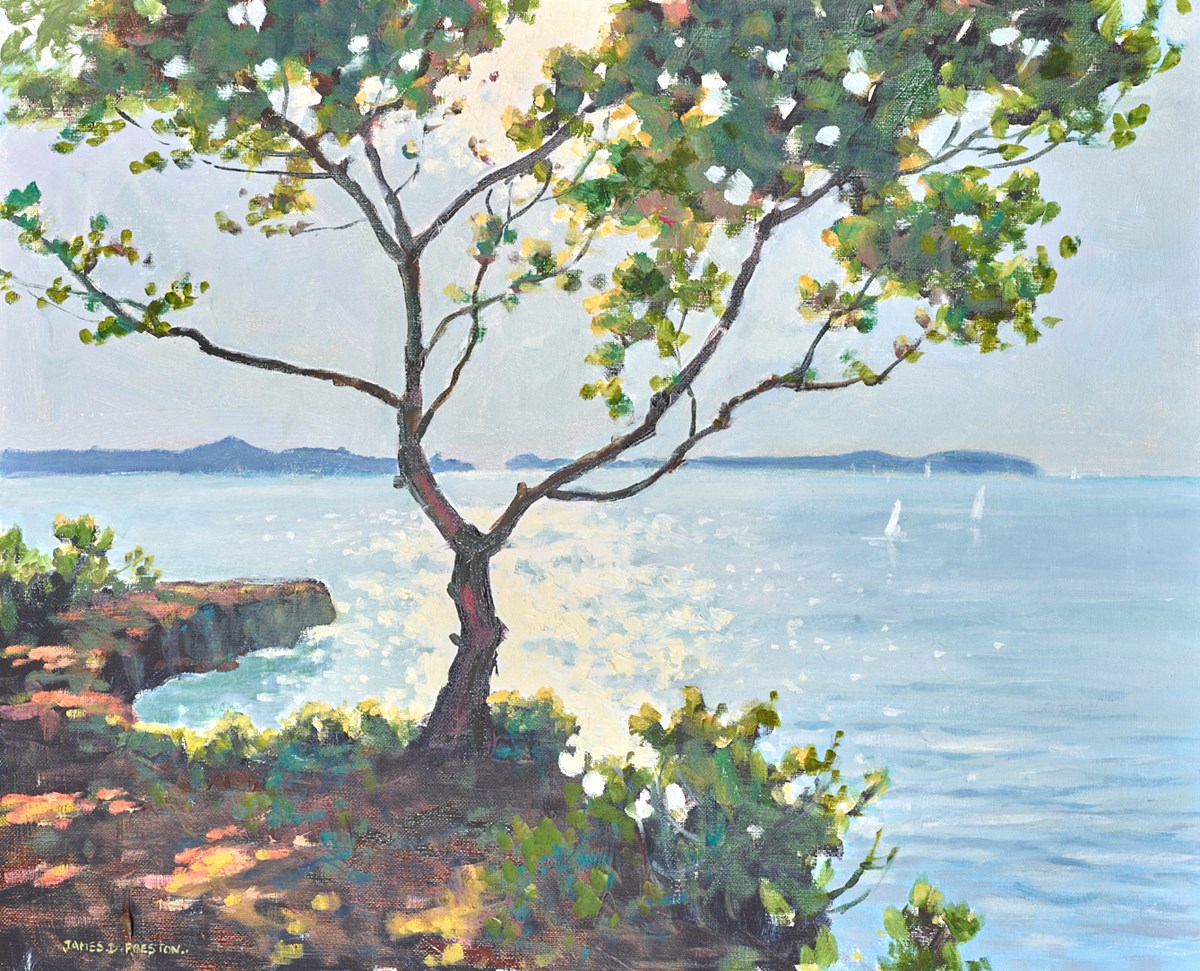 San Antonio Bay (Tree)